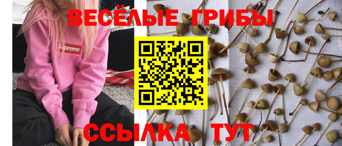 Галлюциногенные грибы ЛСД Железногорск
