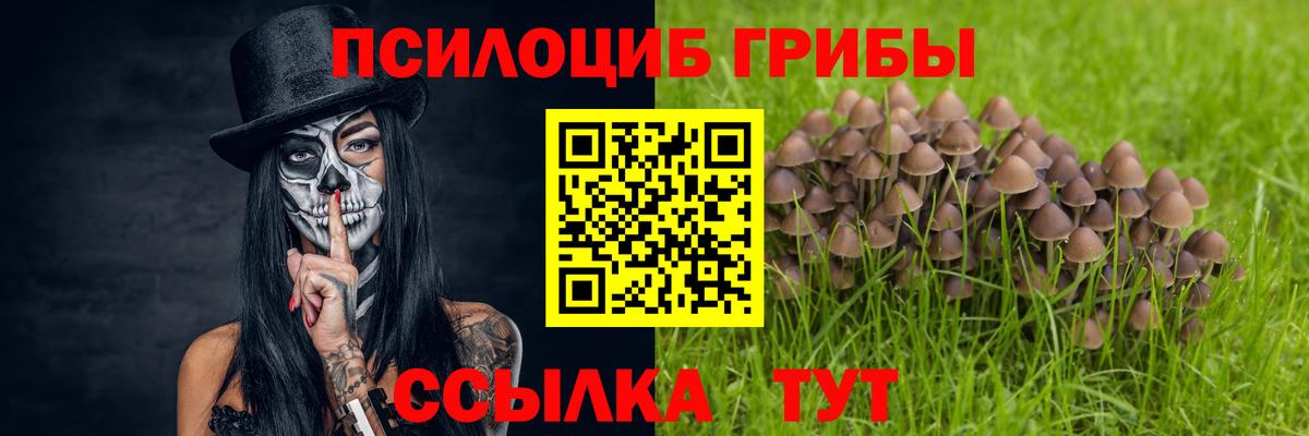 Галлюциногенные грибы Magic Shrooms  закладка  Железногорск  Вход с VPN  Псилоцибиновые грибы Cubensis 